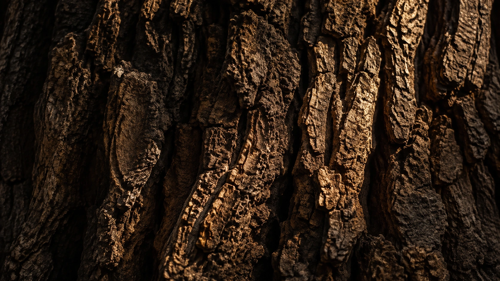 Detalle del tronco de un roble